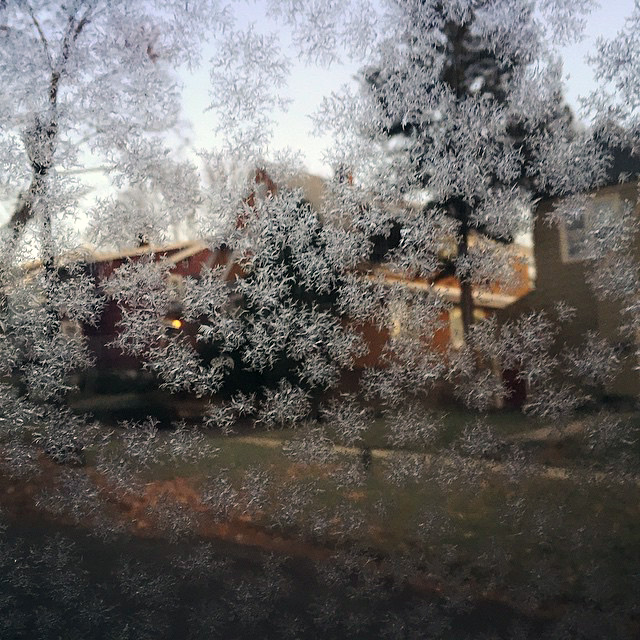 snow on windshield